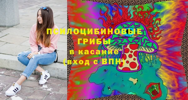 дурь Надым