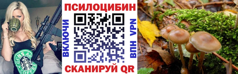 mega сайт  Закаменск  Галлюциногенные грибы Cubensis 
